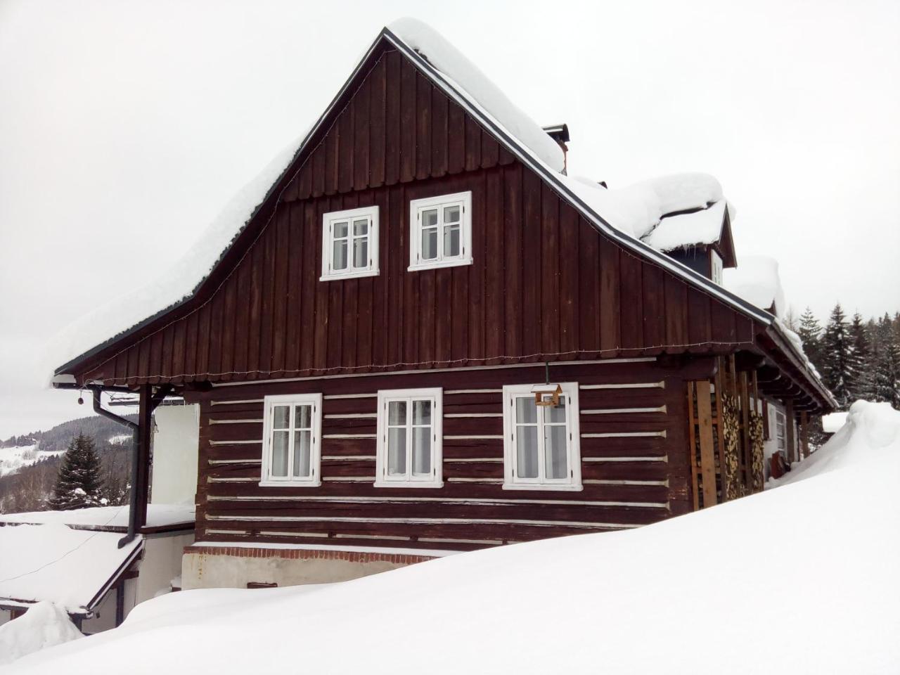 Frantiskov 17 Apartment Rokytnice nad Jizerou Exterior photo